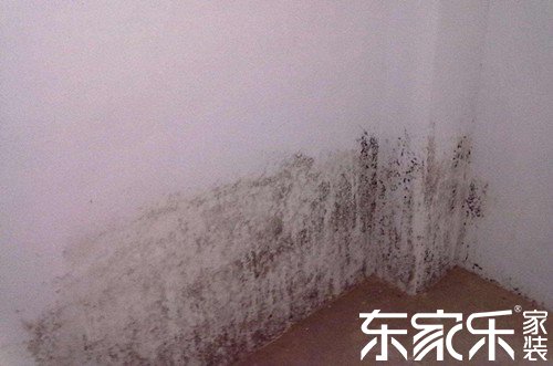 墻面發霉是什么原因導致的?